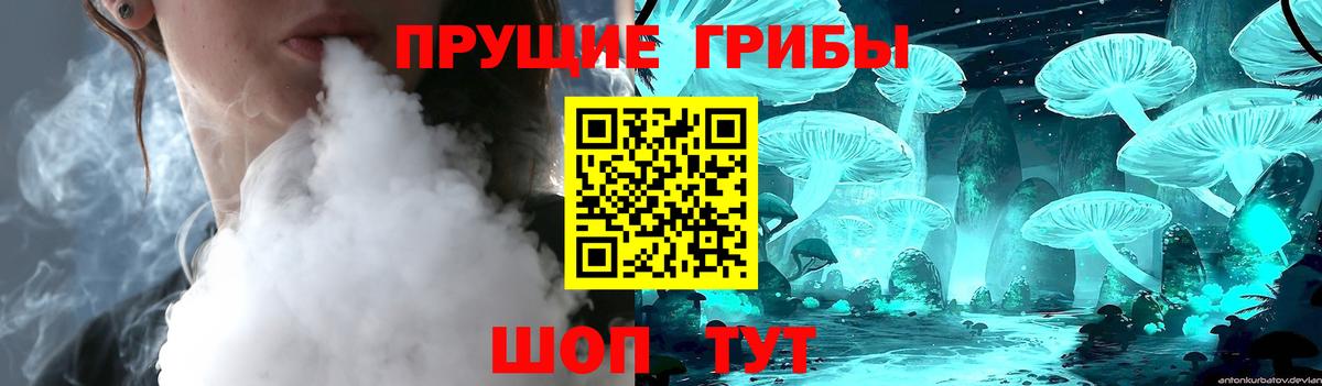 Псилоцибиновые грибы Psilocybine cubensis  Вход с VPN  Арзамас 